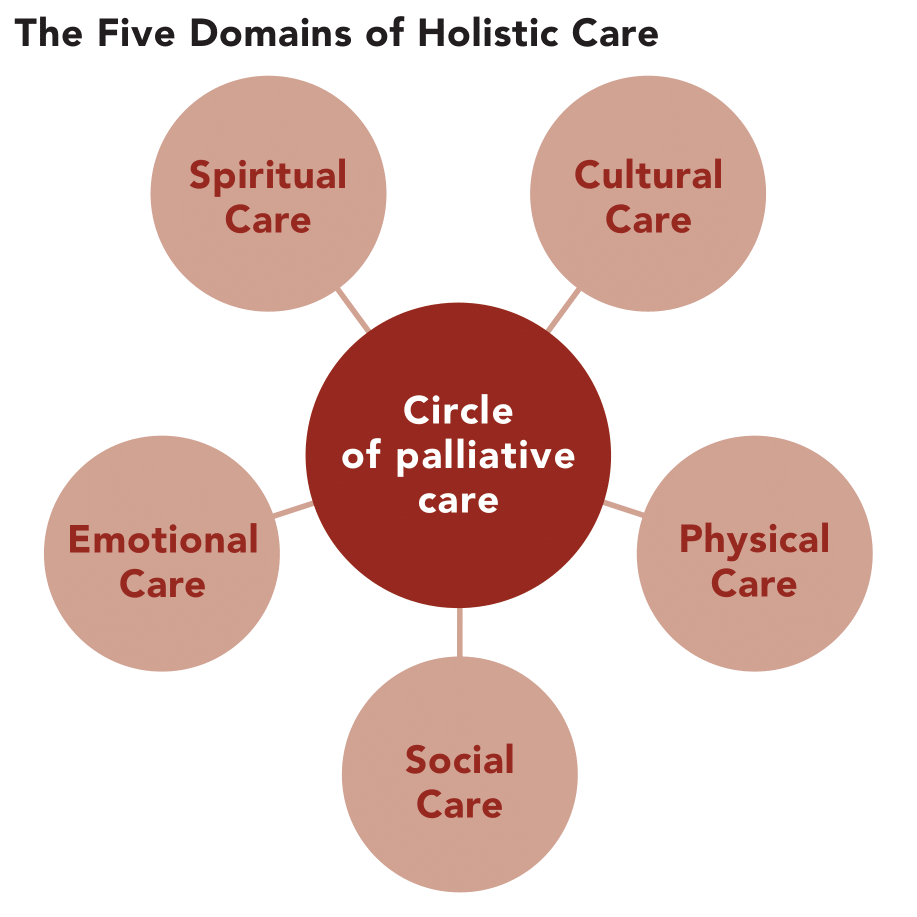 The five domains of holistic care