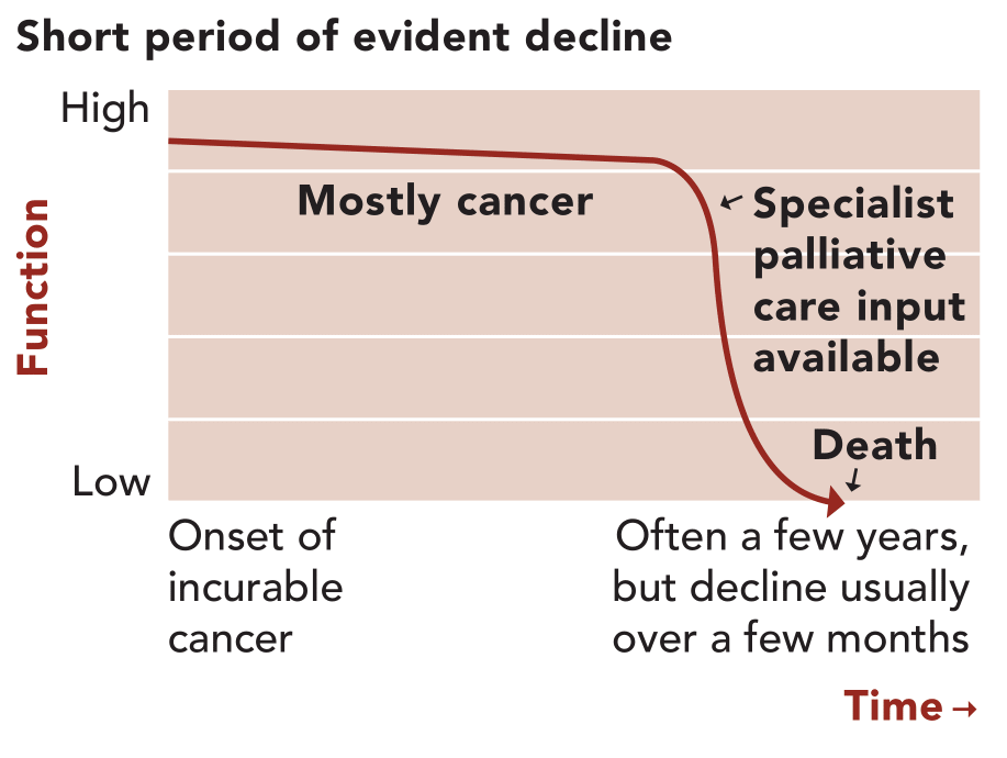 Illness Trajectory 1: short period of evident decline