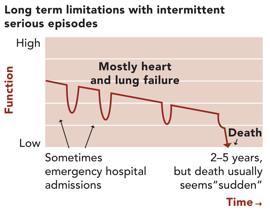 Illness Trajectory 2: long term limitations with intermittent serious episodes