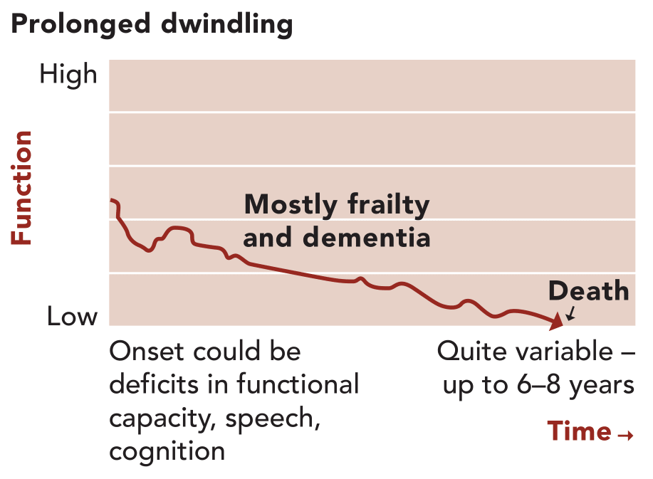 Illness Trajectory 3: prolonged dwindling